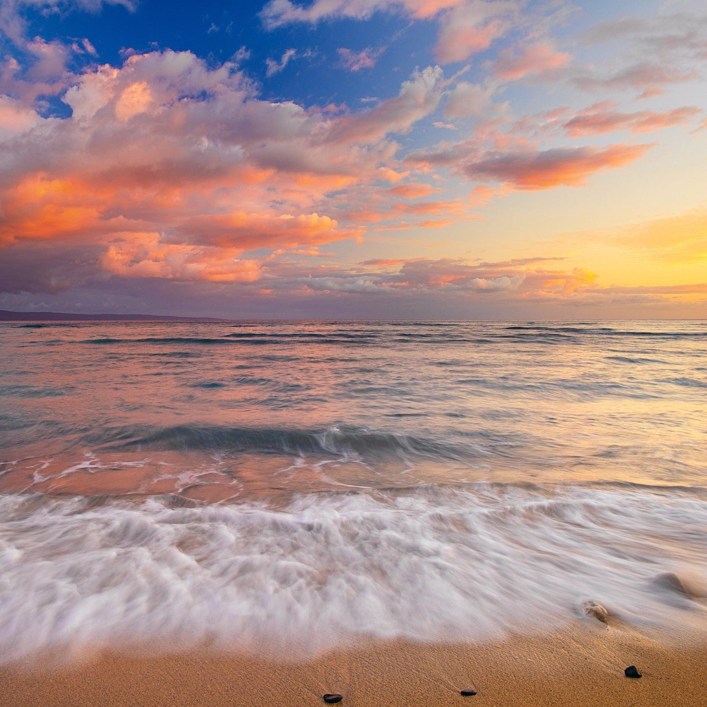 Dreamscape