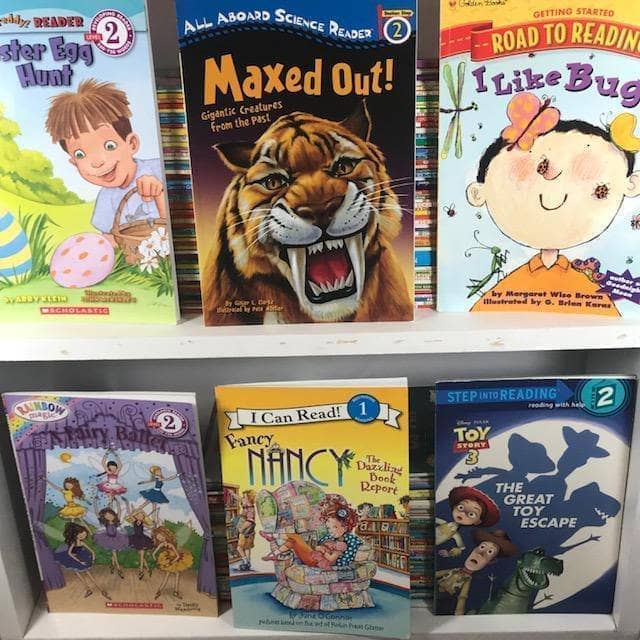 Leveled Readers Kids Books (ages 3-8)
