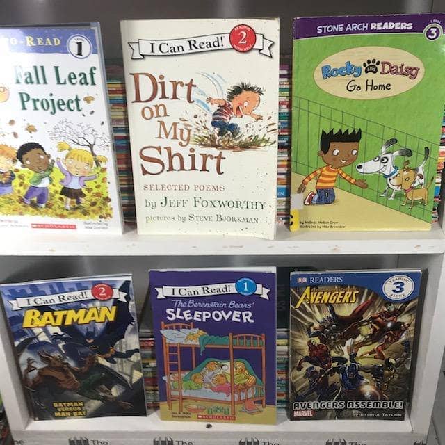 Leveled Readers Kids Books (ages 3-8)