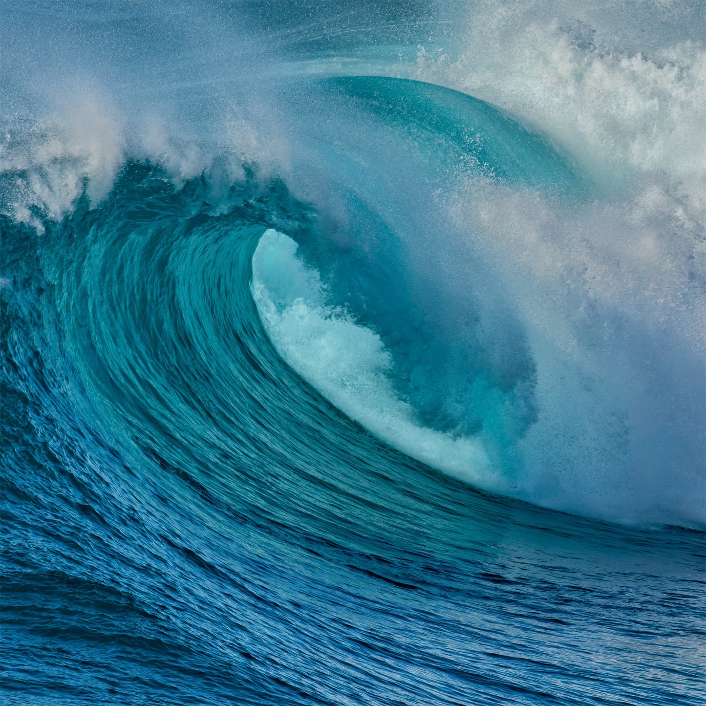 Beyond The Reef