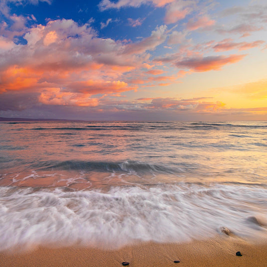 Dreamscape