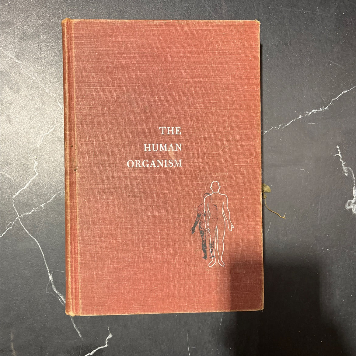 the human organism book, by russell myles de coursey, ph.d., 1955 Hardcover