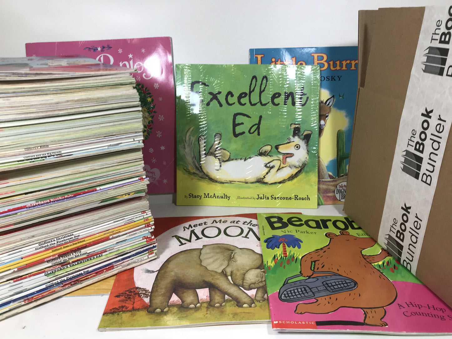Kids illustrated paperback books (ages 4-8)