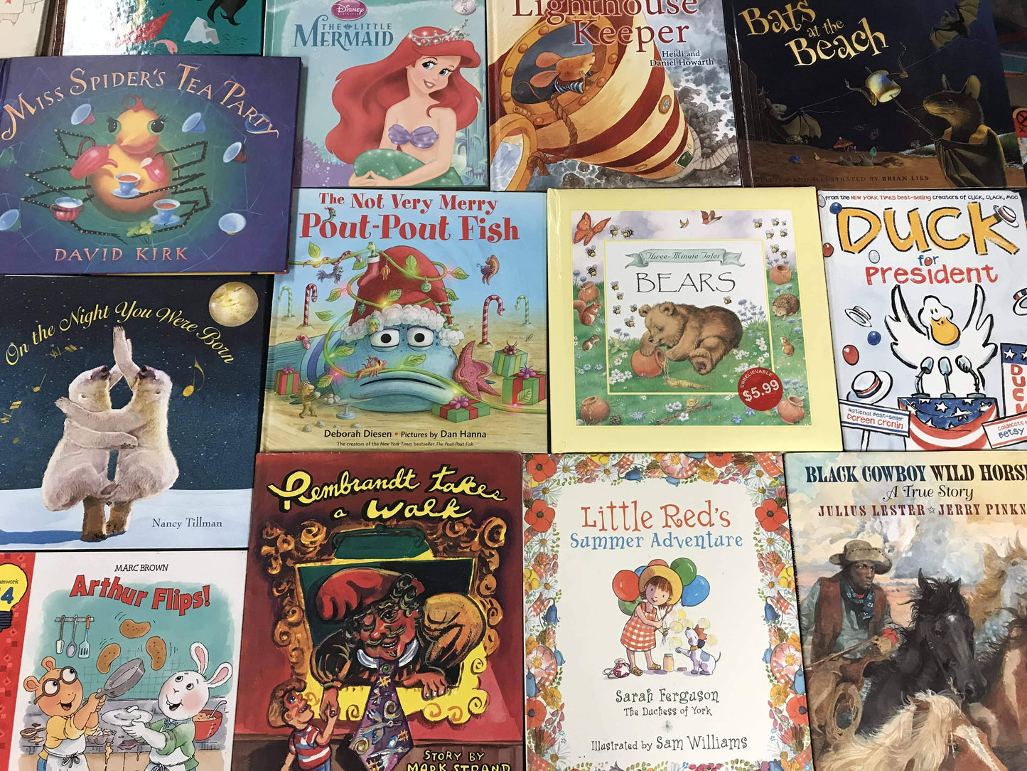 Large Illustrated Hardcover Kids Books (ages 4-8)