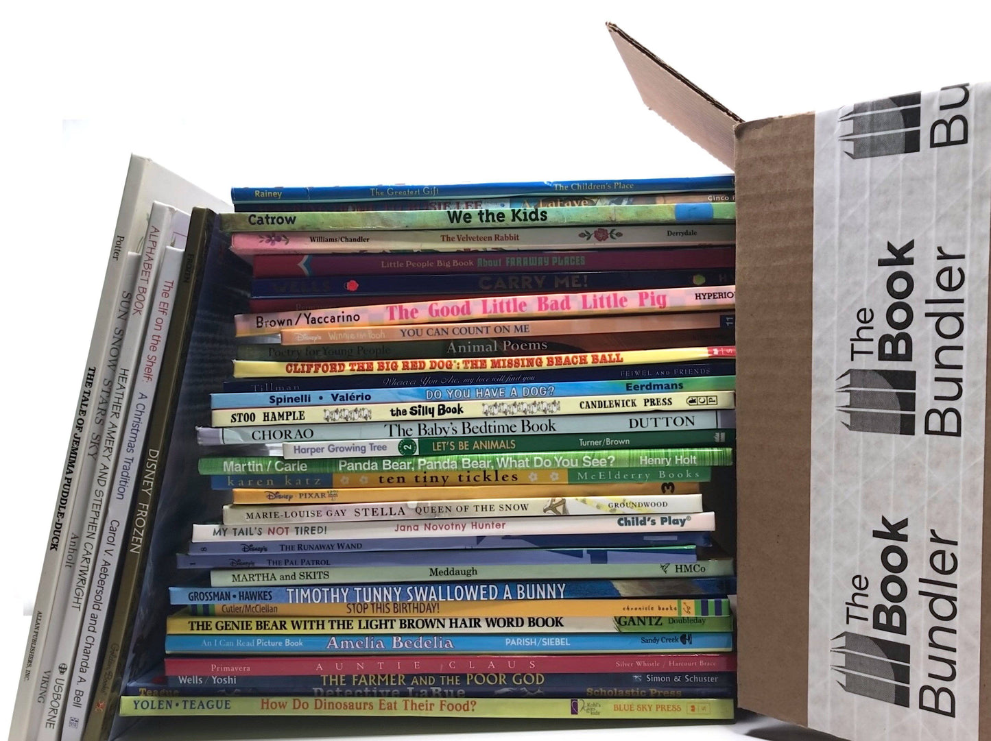 Large Illustrated Hardcover Kids Books (ages 4-8)
