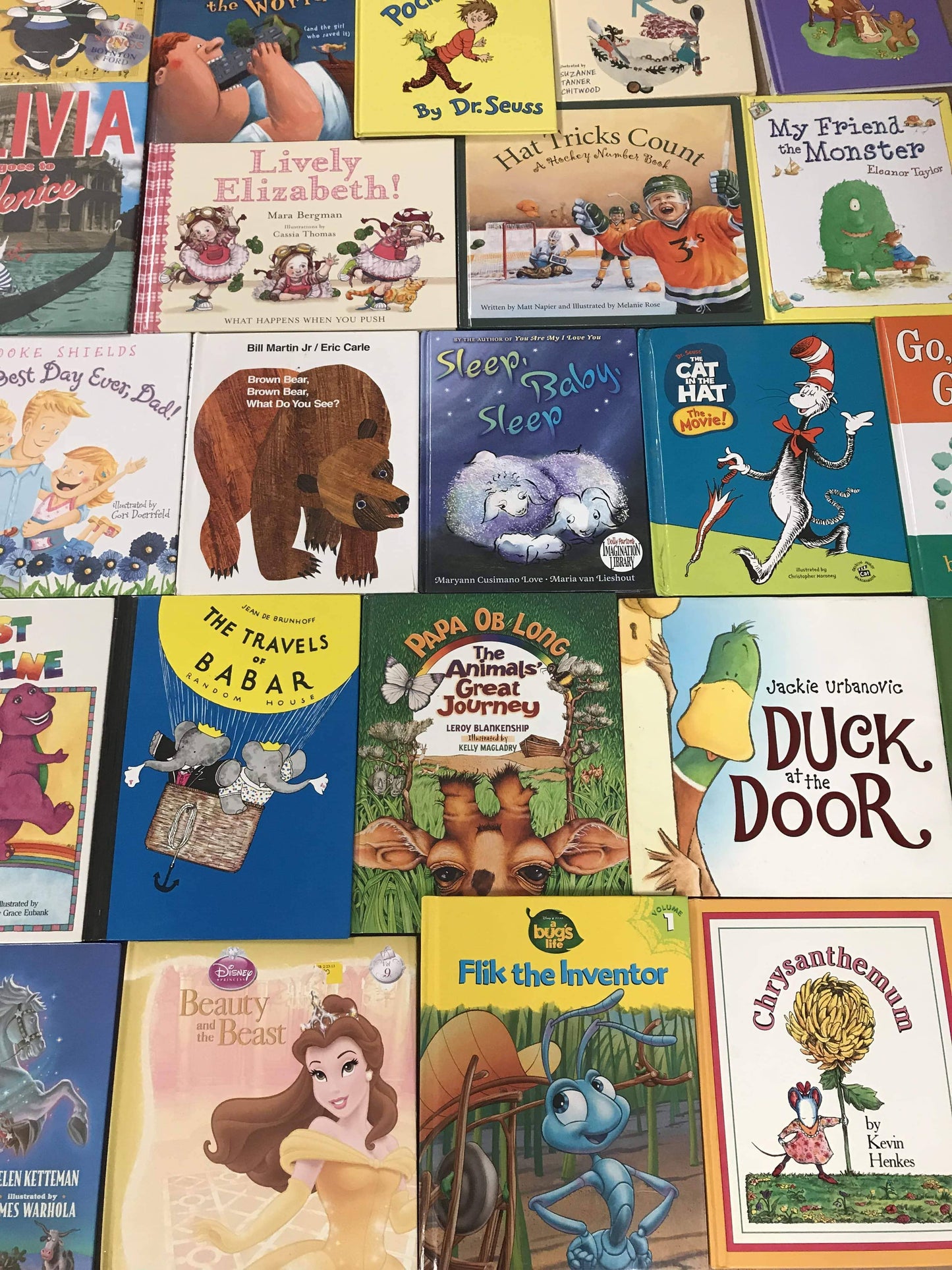 Large Illustrated Hardcover Kids Books (ages 4-8)