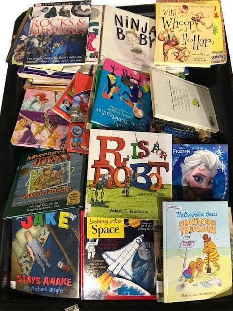 Large Illustrated Hardcover Kids Books (ages 4-8)