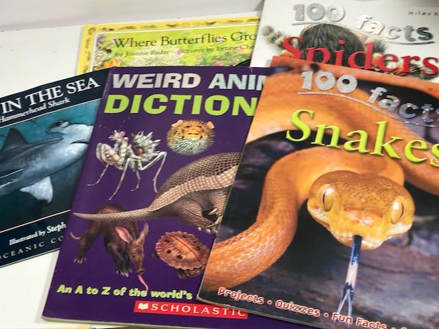Nonfiction Kids Paperback Books (Ages 8-13)